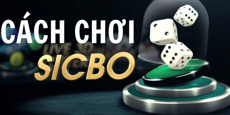 Hướng Dẫn Cách Chơi Sicbo