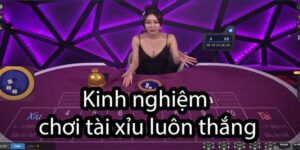 Hướng Dẫn Cách Chơi Tài Xỉu Thắng Lớn Cho Game Thủ 