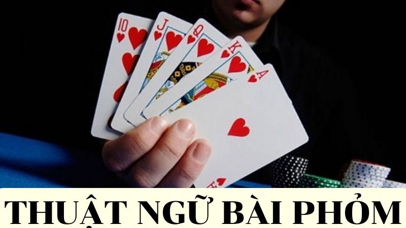 Những thuật ngữ xuất hiện trong game bài Phỏm 